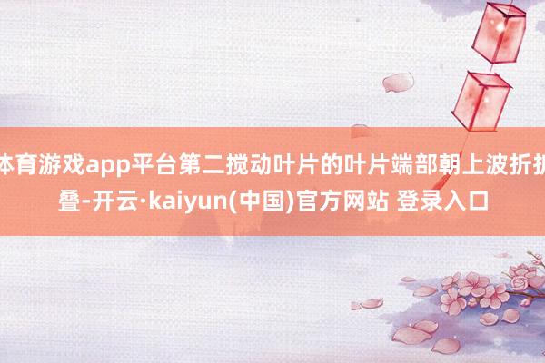 体育游戏app平台第二搅动叶片的叶片端部朝上波折折叠-开云·kaiyun(中国)官方网站 登录入口